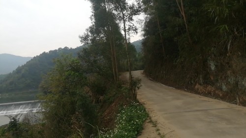 碧沙洲旅游风景区旅行图片 1