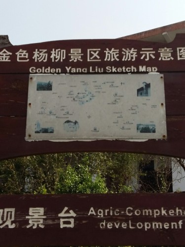 中国柑橘城·金色杨柳旅行图片 2