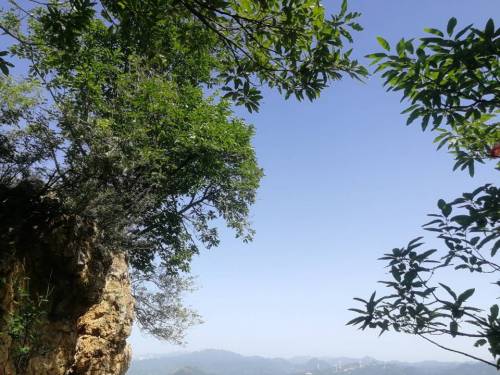 鹿鸣山风景区旅行图片 2