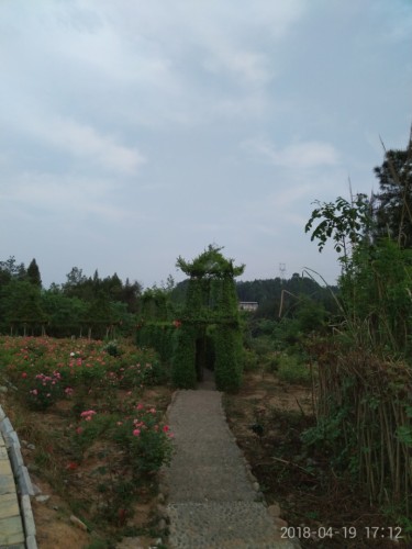 国家森林公园玉带峡景区旅行图片 3