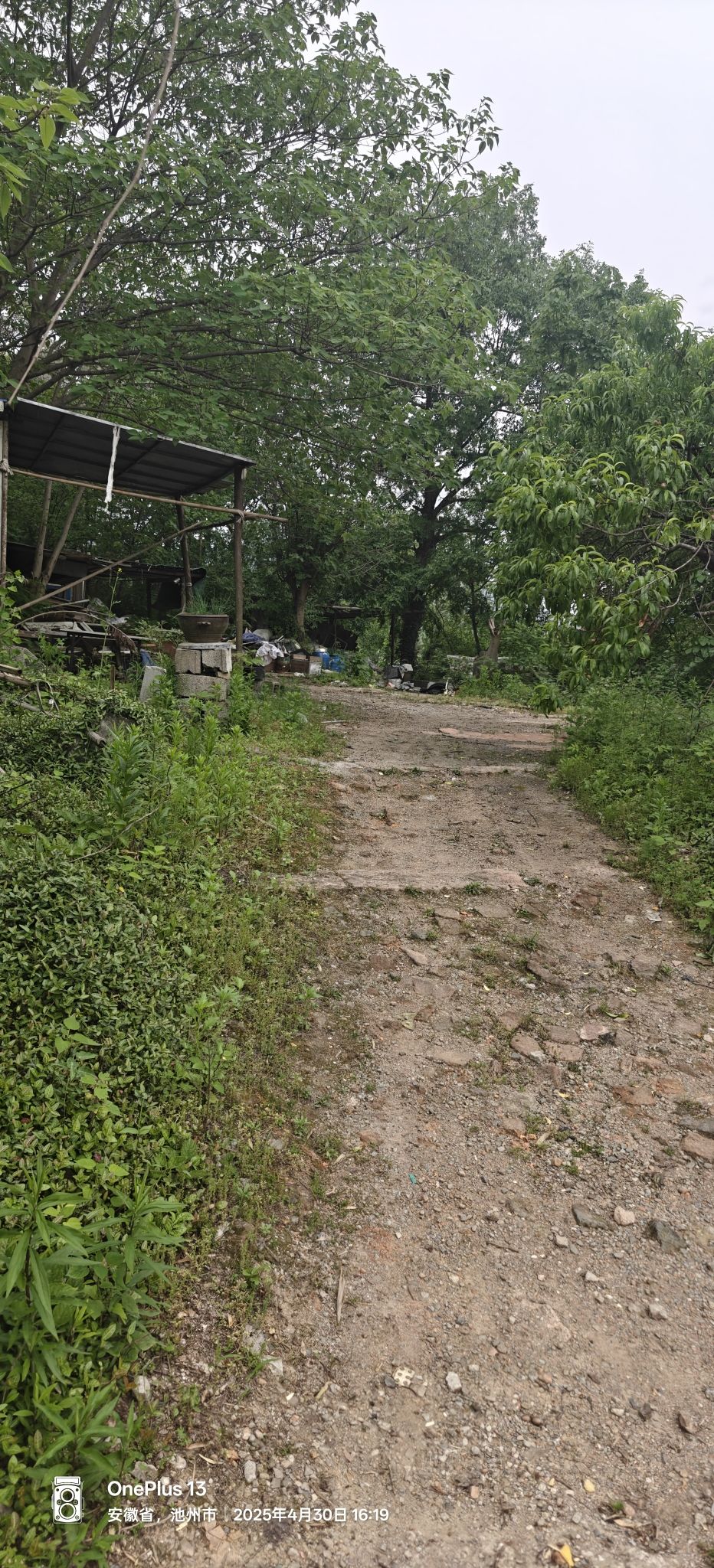 流溪寺实景照片
