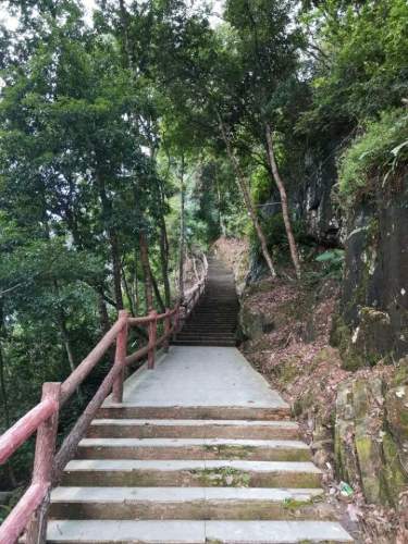 阆苑岩旅行图片 3
