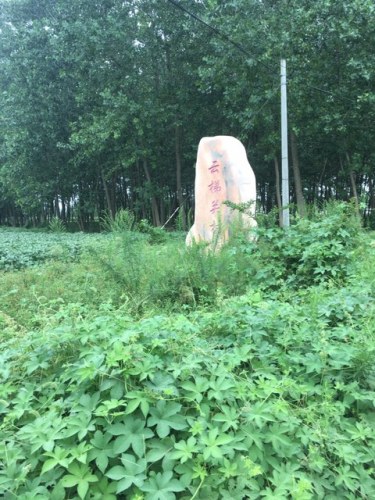清故孝子杨绍先旅行图片 1