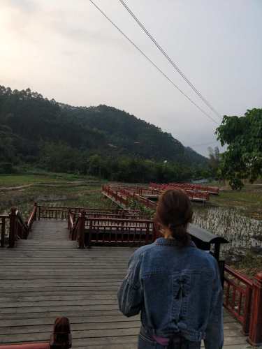 派阳山森林公园旅行图片 3