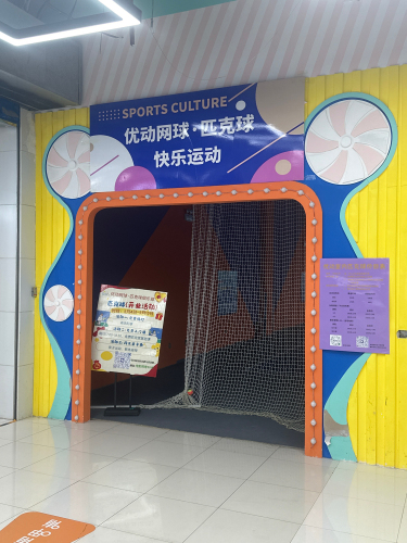 优动网球培训·匹克球