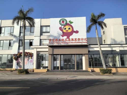 澄迈桥头地瓜品牌展示中心