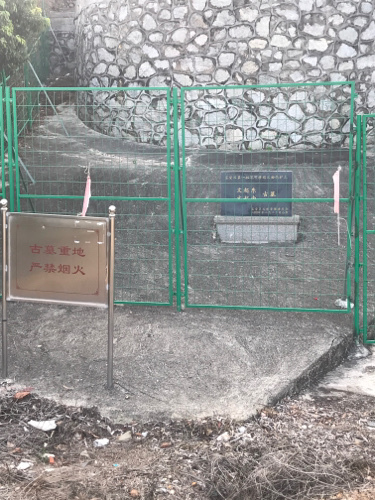 文起东古墓旅行图片 2