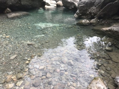 城口县九重山国家森林公园旅行图片 1