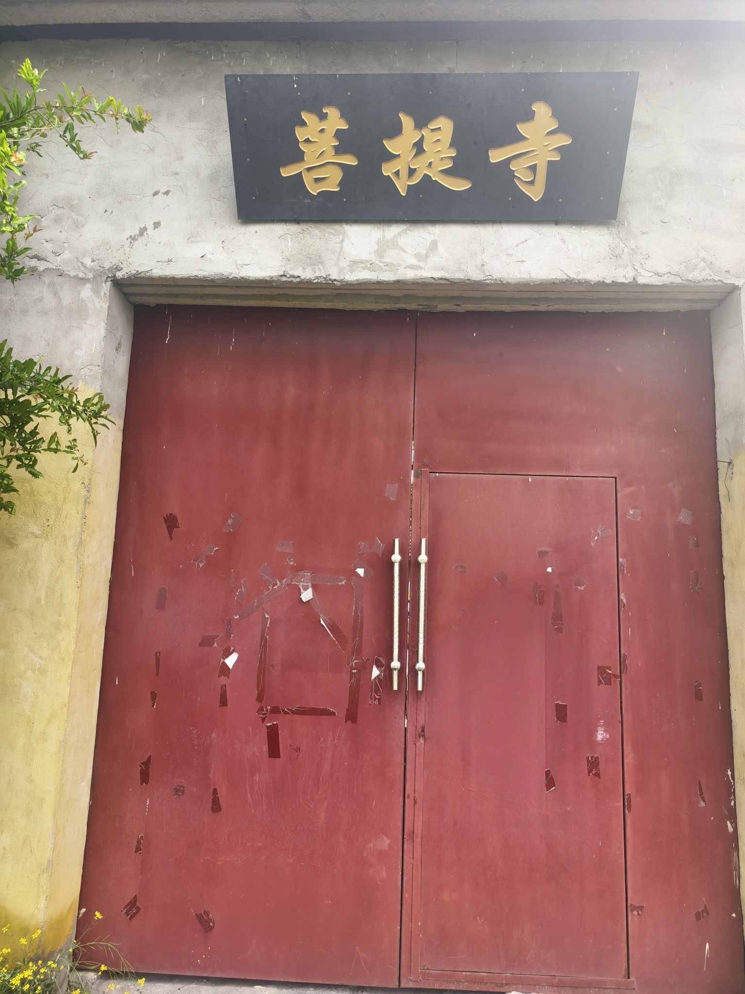 菩提寺实景照片