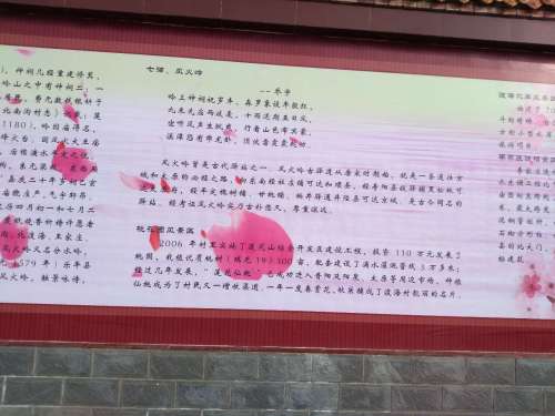 莲花山山地公园旅行图片 2
