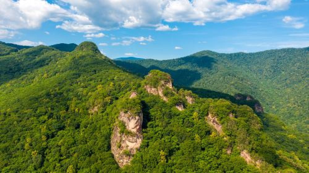 五女峰国家森林公园景点图片