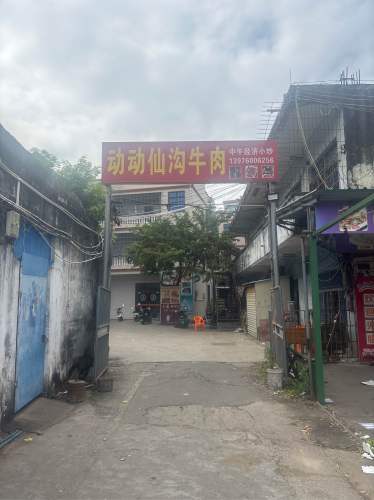 动动仙沟牛肉