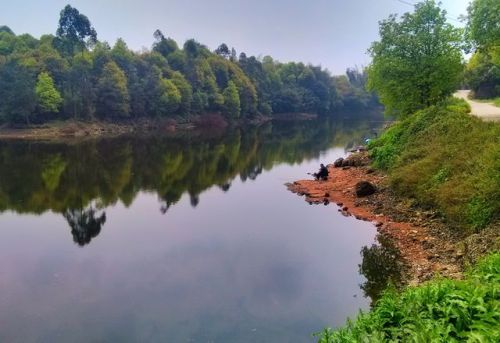 双龙湖生态旅游区旅行图片 3
