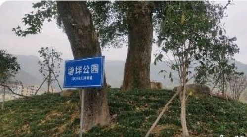 大安塝垟公园