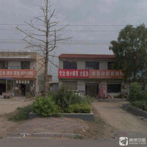 专治细小病毒犬瘟热