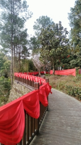 四川省白牛寨森林公园旅行图片 2
