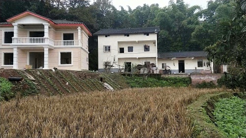 Gallery 2