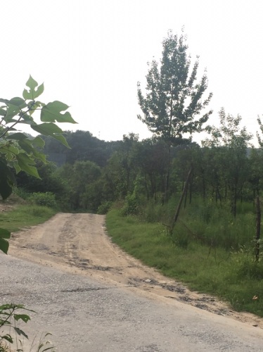 十龙漳大峡谷旅行图片 1