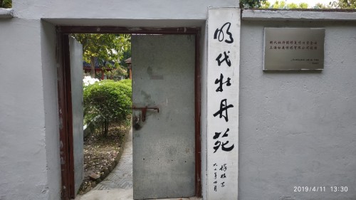 明代牡丹苑旅行图片 3