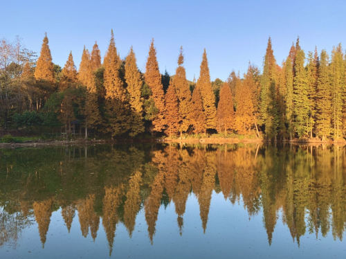 醉怡山庄旅行图片 3