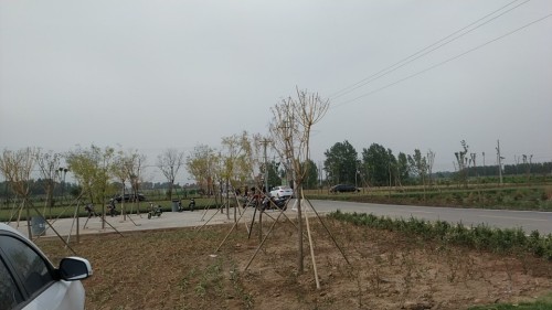 上官庄湿地公园旅行图片 1