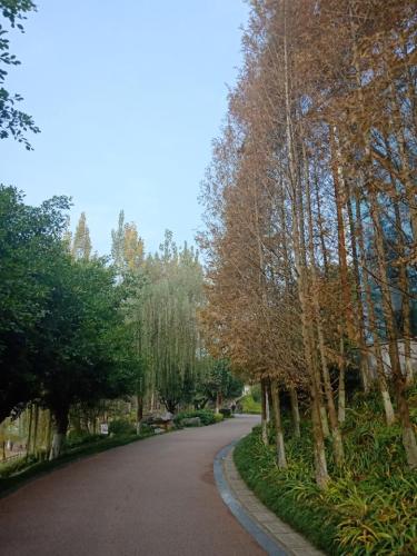 清溪湿地公园旅行图片 3