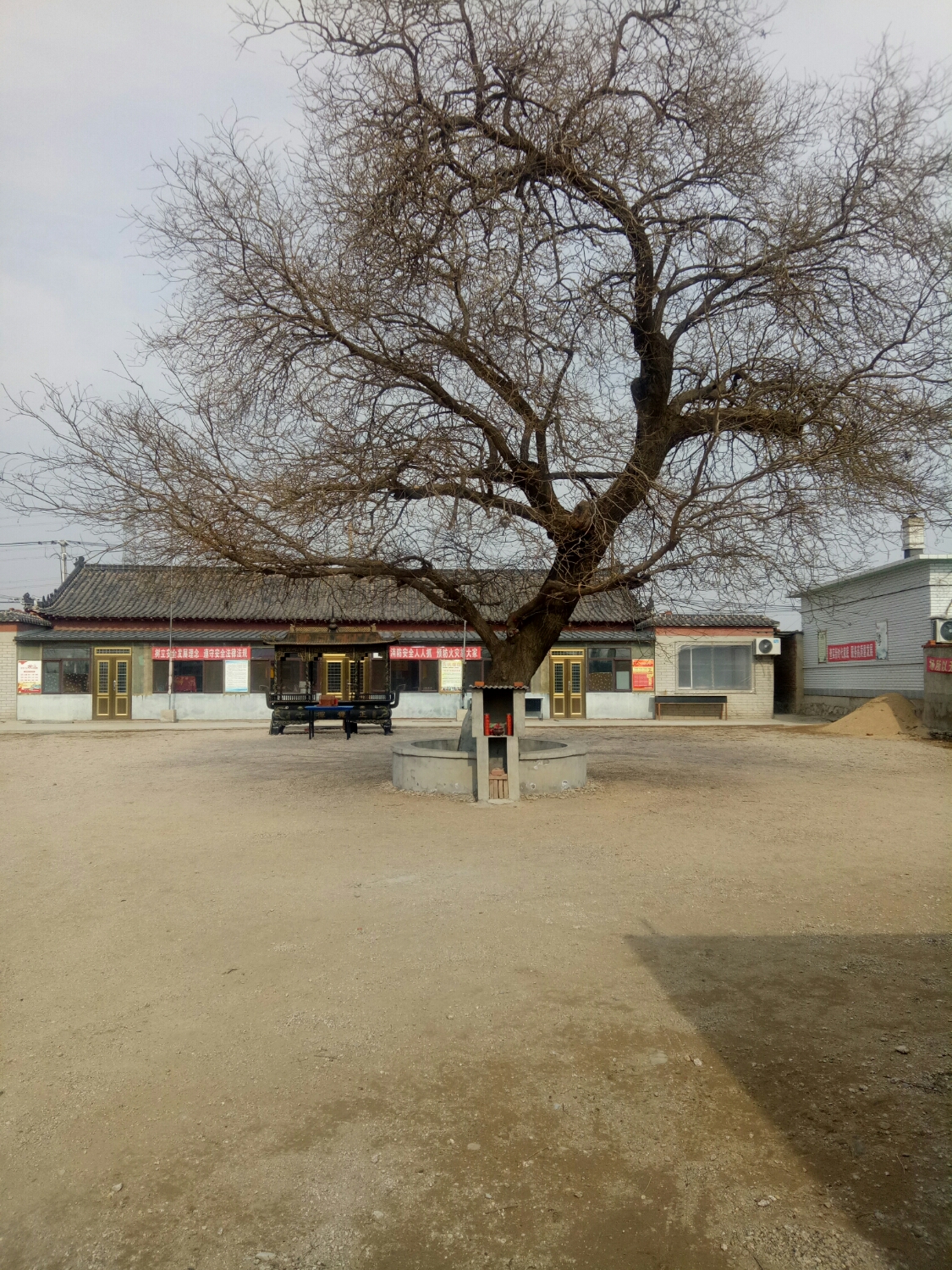 正觉禅寺实景照片