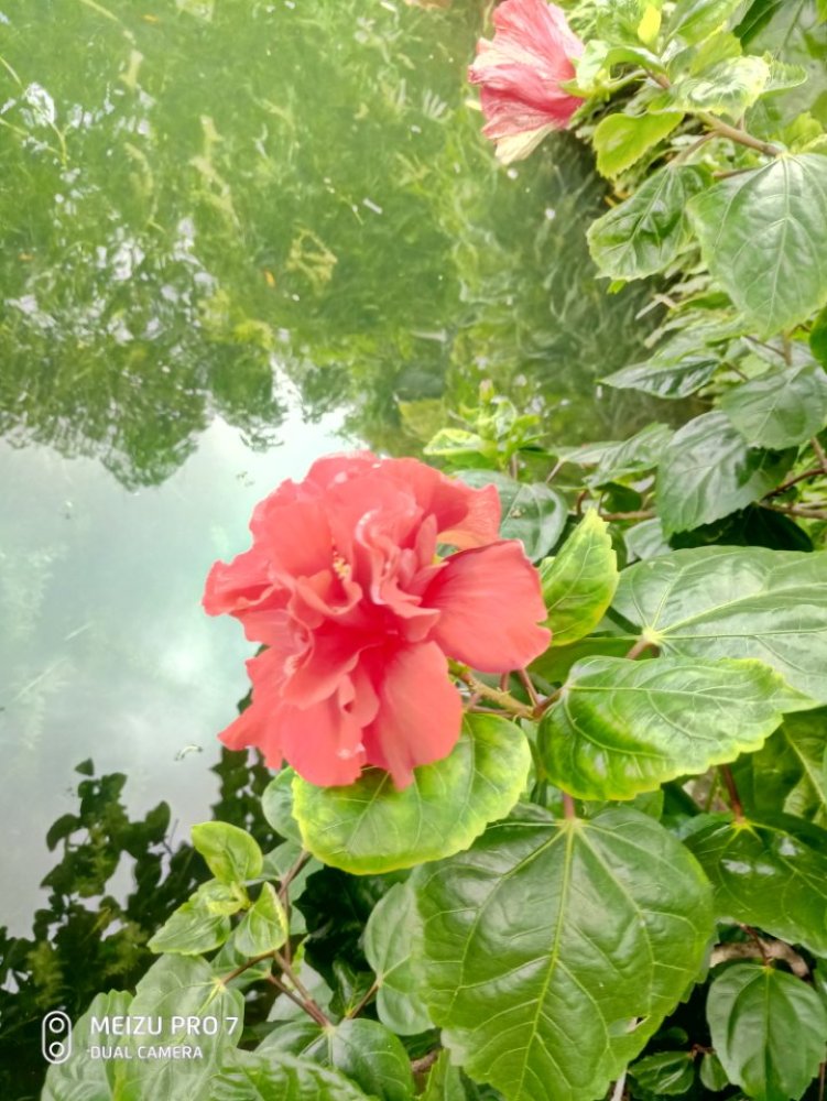 梁园景点图片