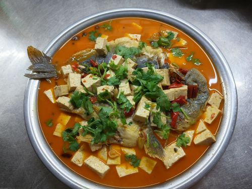 老吴特色鱼馆(温馨佳苑店)