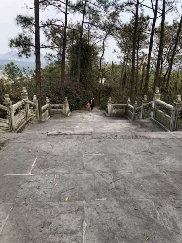 开元塔公园旅行图片 1