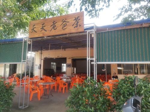 天天老爸茶
