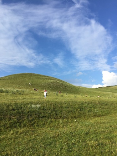 柳兰谷旅行图片 2