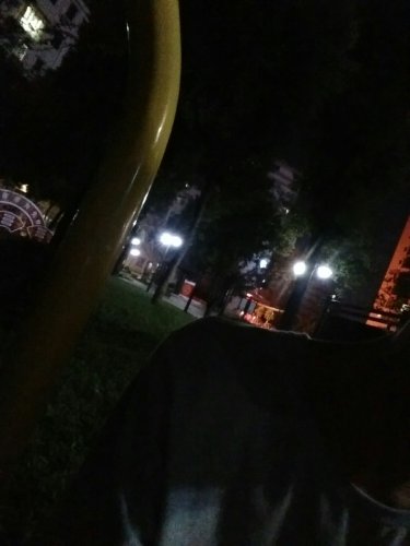惠州惠阳西区新寮村公园旅行图片 2