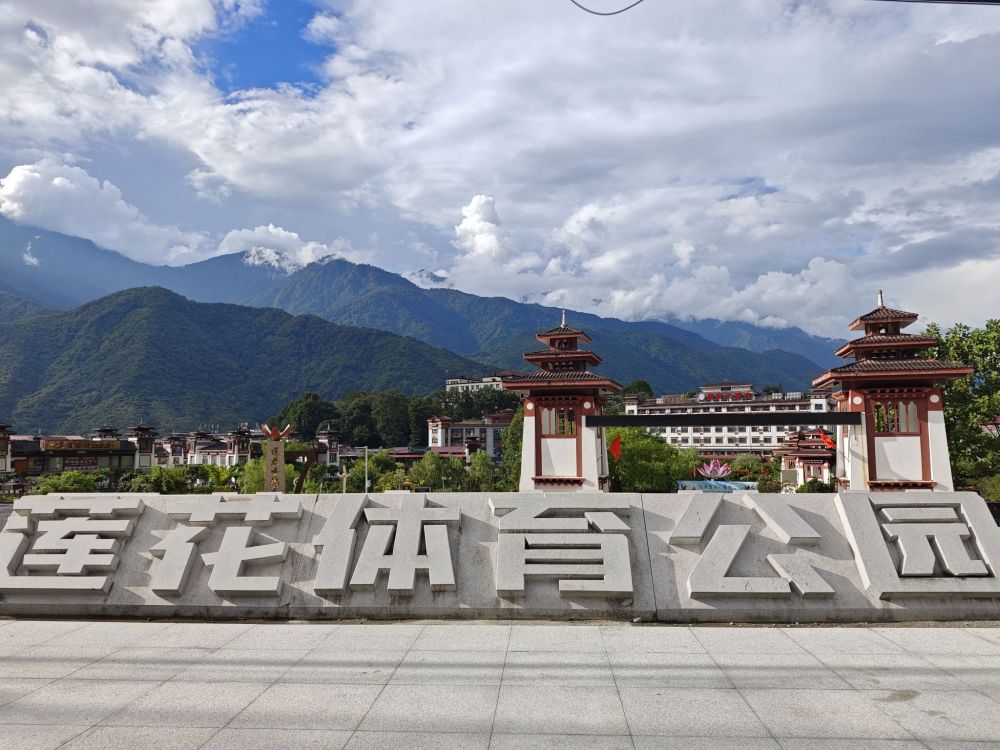 莲花公园景点图片