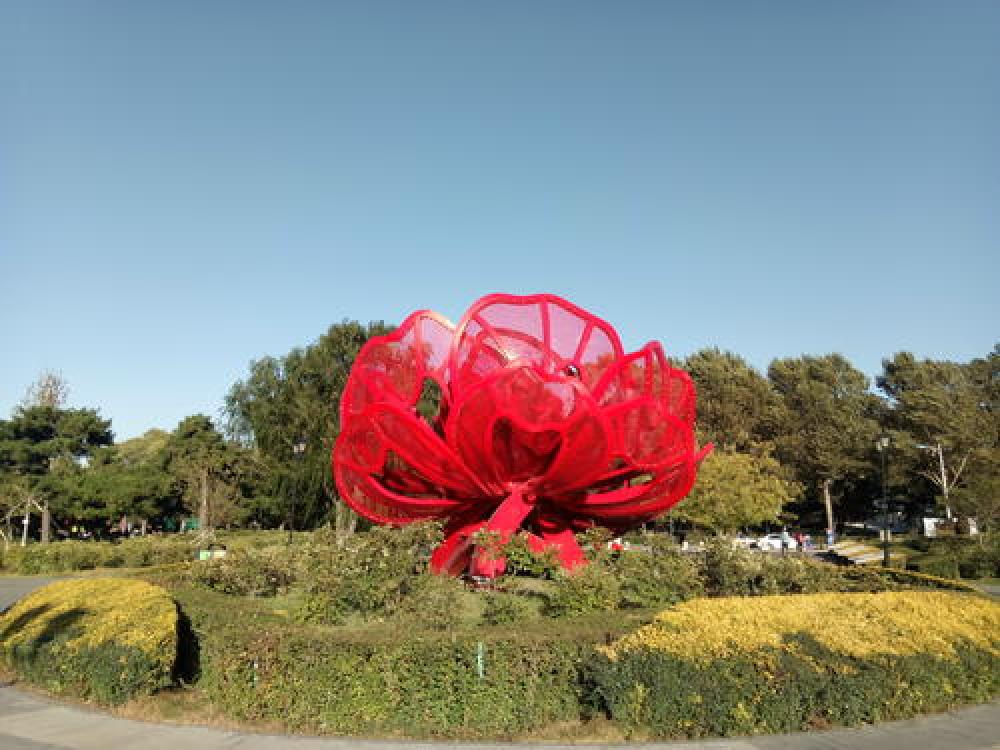 牡丹园景点图片