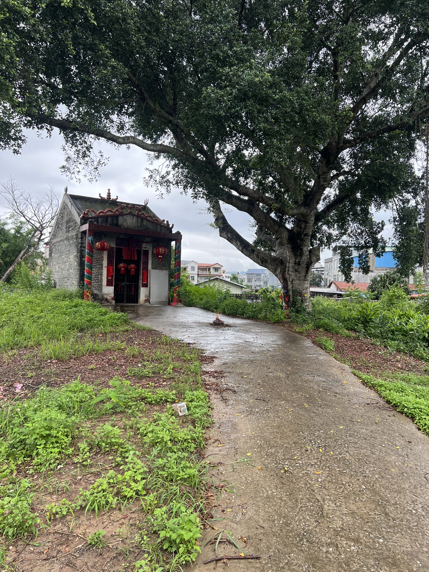 青龙庙实景照片