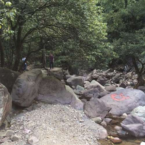 龙王山旅行图片 2