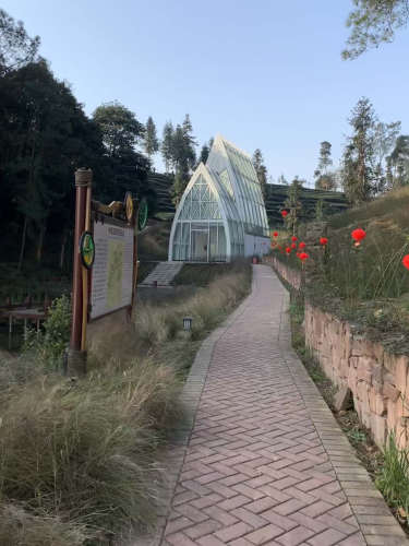 茶园绿道月亮湖旅行图片 2