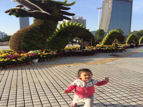 郊野公园旅行图片 2