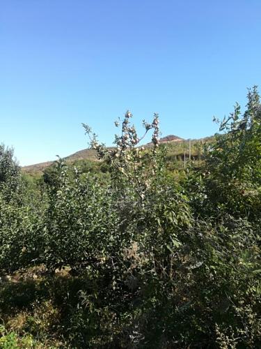 黄花滩塔旅行图片 1