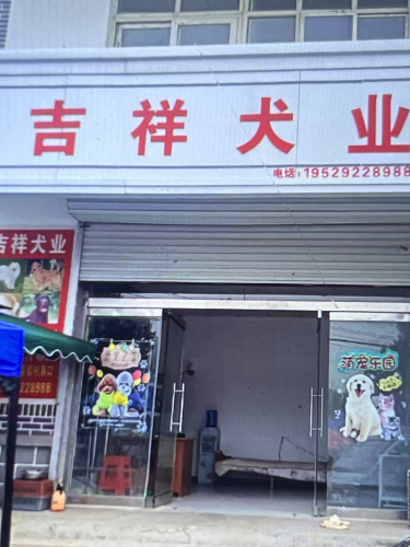 吉祥犬业