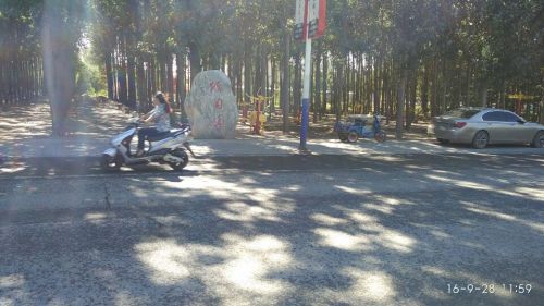 怡闲园旅行图片 1