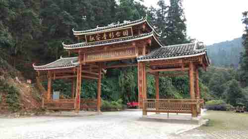 融安香杉公园旅行图片 1