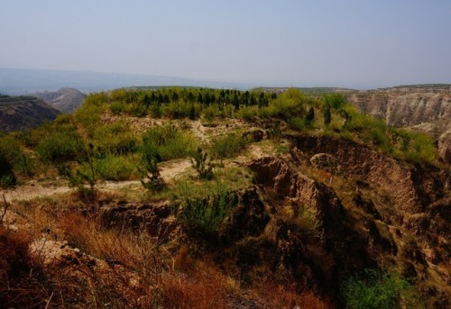 红崖保护区旅行图片 3