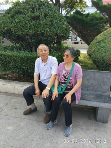 嵩阳公园旅行图片 2