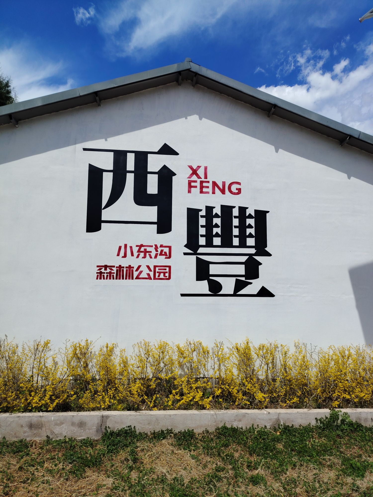 西丰小东沟森林公园