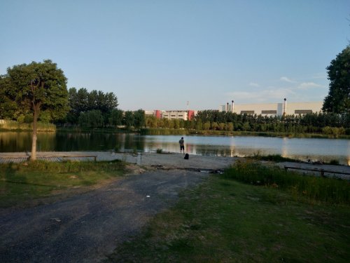 莲花公园旅行图片 2