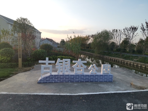 古银杏公园