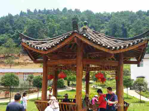 梅花鹿苑旅行图片 3