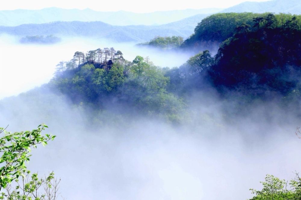 天女山森林公园景点图片